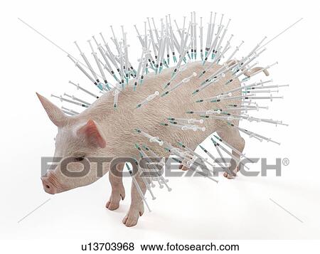 Illustration of syringes stuck in a pig View Large Photo Image Stock Photo - Illustration of syringes stuck in a pig. Fotosearch