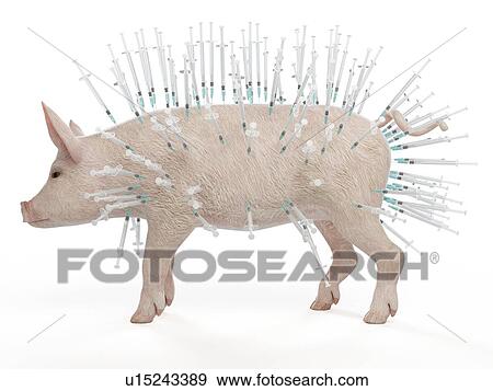 Illustration of syringes stuck in a pig View Large Photo Image Stock Photo - Illustration of syringes stuck in a pig. Fotosearch