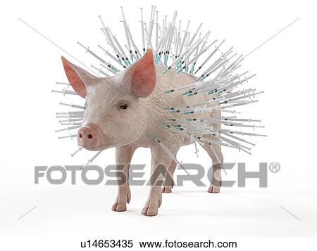Illustration of syringes stuck in a pig View Large Photo Image Stock Photography - Illustration of syringes stuck in a pig. Fotosearch
