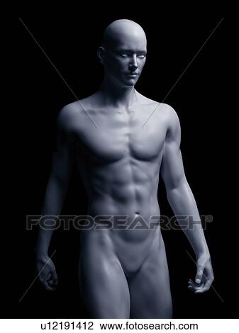 Stock Image - Illustration of the human body. Fotosearch