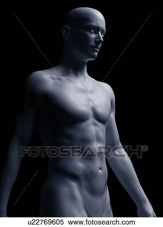 Stock Photography - Illustration of the human body. Fotosearch