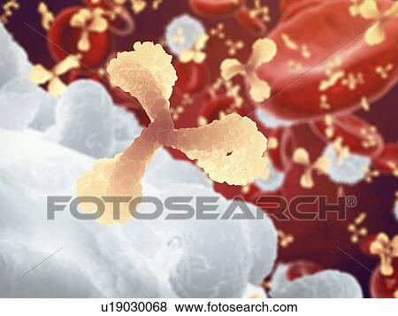 Immune system, illustration View Large Photo Image Stock Photo - Immune system, illustration. Fotosearch