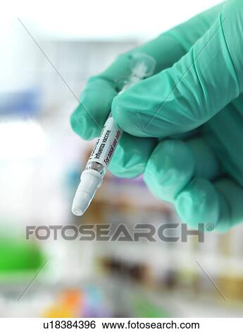 Influenza vaccine View Large Photo Image Stock Photograph - Influenza vaccine. Fotosearch