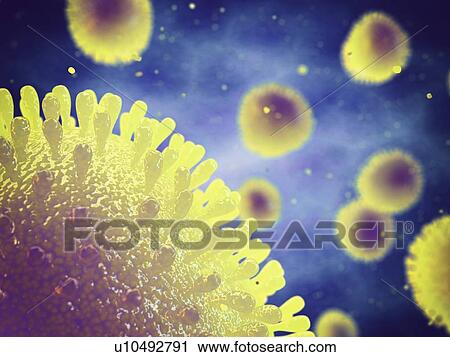 Influenza viruses, illustration View Large Photo Image Stock Image - Influenza viruses, illustration. Fotosearch
