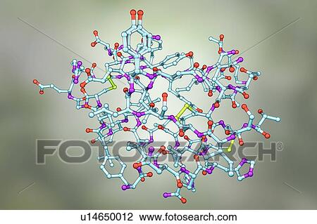 Stock Image - Insulin hormone molecule, illustration. Fotosearch