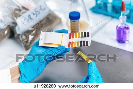 Stock Image - Laboratory soil analysis. Female scientist in white coat measuring PH of soil sample with litmus strips. Agrochemical examination of soil.. Fotosearch