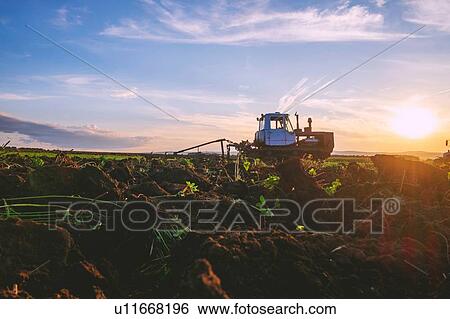 Stock Photograph - Landscape with agricultural machinery at sunset, surface level view. Fotosearch