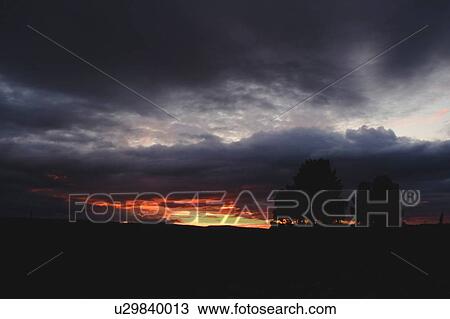 Landscape with silhouetted trees at sunset View Large Photo Image Stock Image - Landscape with silhouetted trees at sunset. Fotosearch