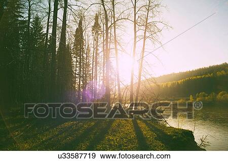 Stock Photo - Landscape with sunlit forests on river banks. Fotosearch