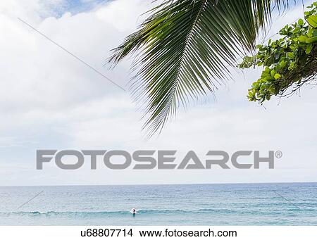 Lone surfer in sea, Bonzai Pipeline Beach, Oahu, Hawaii View Large Photo Image Picture - Lone surfer in sea, Bonzai Pipeline Beach, Oahu, Hawaii. Fotosearch