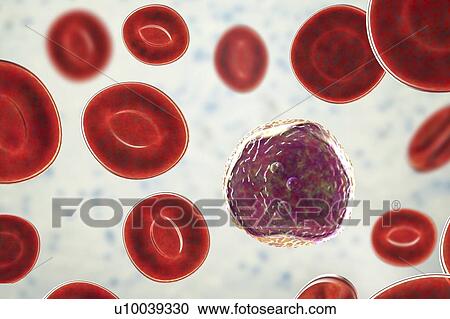 Stock Image - Lymphocyte white blood cell, illustration. Fotosearch