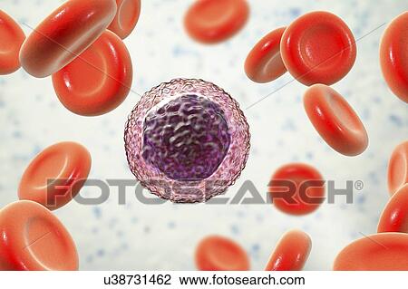 Lymphocyte white blood cell, illustration View Large Photo Image Stock Image - Lymphocyte white blood cell, illustration. Fotosearch