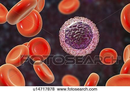 Lymphocyte white blood cell, illustration View Large Photo Image Stock Photo - Lymphocyte white blood cell, illustration. Fotosearch