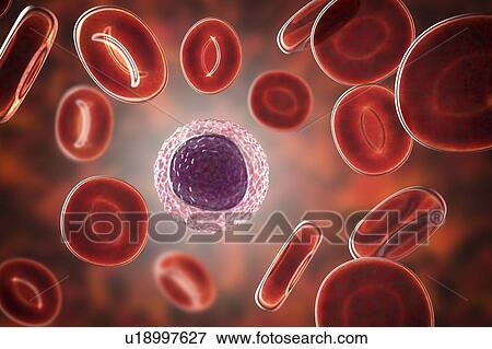 Lymphocyte white blood cell, illustration View Large Photo Image Stock Photo - Lymphocyte white blood cell, illustration. Fotosearch