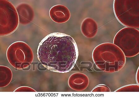 Lymphocyte white blood cell, illustration View Large Photo Image Stock Photo - Lymphocyte white blood cell, illustration. Fotosearch