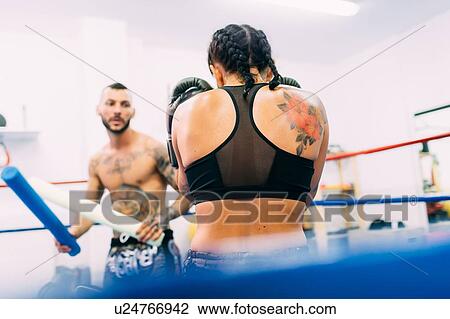 Male and female boxers working out in boxing ring View Large Photo Image Stock Image - Male and female boxers working out in boxing ring. Fotosearch