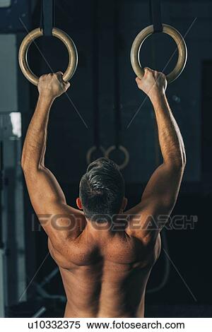 Man exercising on gymnastic rings View Large Photo Image Stock Photography - Man exercising on gymnastic rings. Fotosearch