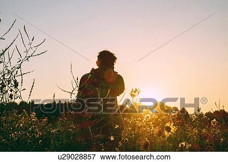 Stock Photo - Man in wildflower field watching sunset, rear view. Fotosearch