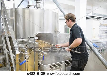 Stock Photo - Master brewer raking out spent hops and ingredients in small brewery. Fotosearch