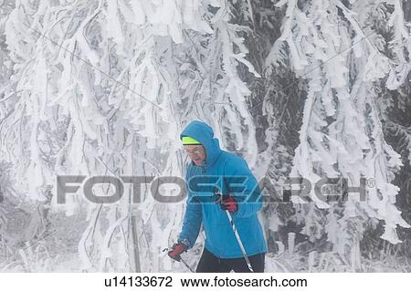 Mature man cross country skiing in forest View Large Photo Image Stock Image - Mature man cross country skiing in forest. Fotosearch