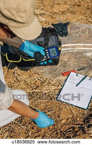Stock Photography - Measuring Soil Temperature with Thermometer. Female agronomist measuring soil temperature in the field. Fotosearch
