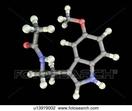 Stock Image - Melatonin hormone, molecular model. Fotosearch