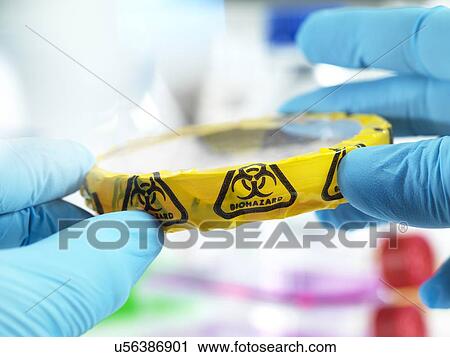 Stock Image - Microbiology. Fotosearch