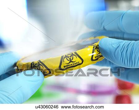 Stock Photograph - Microbiology. Fotosearch