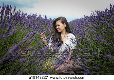 Stock Photo - Mid adult woman with long brown hair sitting crosslegged in lavender field. Fotosearch