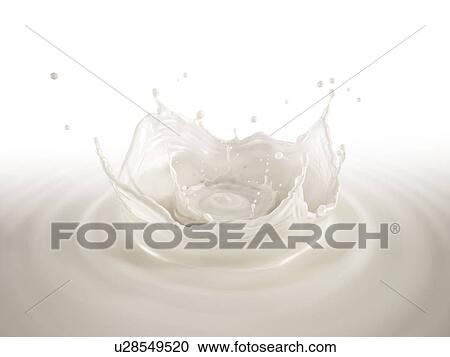 Milk double crown splash, splashing in milk pool with ripples. Bird eye view. On white background. View Large Photo Image Stock Image - Milk double crown splash, splashing in milk pool with ripples. Bird eye view. On white background.. Fotosearch