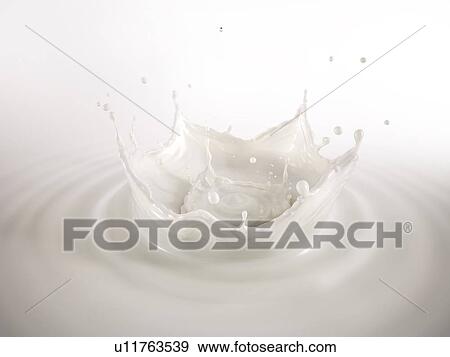 Milk double crown splash, splashing in milk pool with ripples. Bird eye view. On white background. View Large Photo Image Stock Photo - Milk double crown splash, splashing in milk pool with ripples. Bird eye view. On white background.. Fotosearch