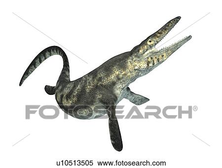 Mosasaurus, illustration View Large Photo Image Stock Photography - Mosasaurus, illustration. Fotosearch
