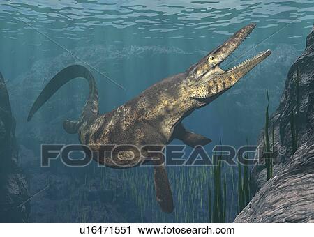 Stock Image - Mosasaurus swimming, illustration. Fotosearch