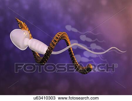 Stock Image - Nanobot controlling direction of sperm, illustration.. Fotosearch