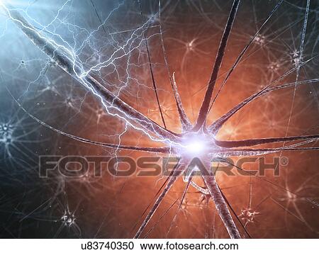 Nerve cells, illustration View Large Photo Image Stock Image - Nerve cells, illustration. Fotosearch