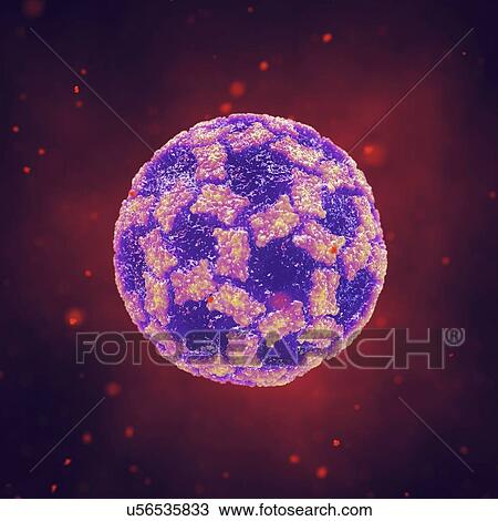 Stock Image - Norovirus infection, illustration. Fotosearch