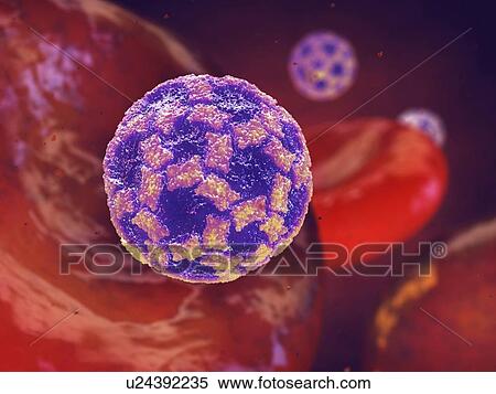 Stock Photography - Norovirus infection, illustration. Fotosearch