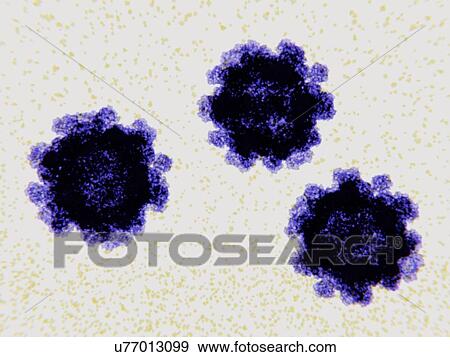 Stock Photo - Norovirus virus particles, illustration. Fotosearch