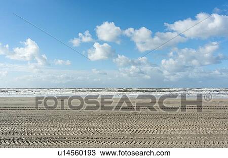 Stock Image - North sea beach with tyre tracks, Netherlands. Fotosearch