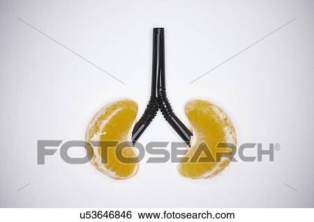 Stock Photograph - Orange segment and straws. Fotosearch