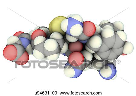 Stock Photo - Oxytocin hormone, molecular model. Fotosearch