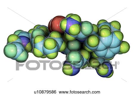 Oxytocin hormone, molecular model View Large Photo Image Stock Photograph - Oxytocin hormone, molecular model. Fotosearch