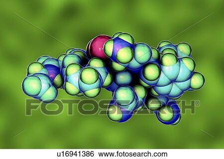 Oxytocin hormone, molecular model View Large Photo Image Stock Photograph - Oxytocin hormone, molecular model. Fotosearch