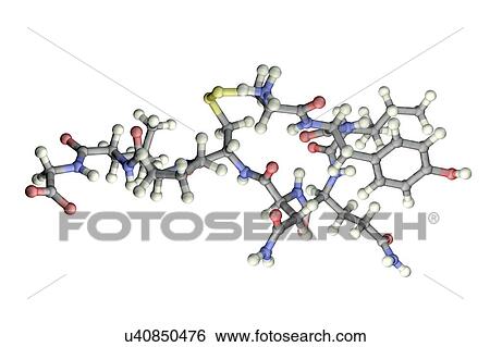Oxytocin hormone, molecular model View Large Photo Image Stock Photograph - Oxytocin hormone, molecular model. Fotosearch