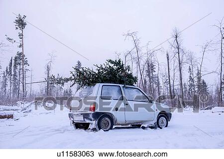Parked car with christmas tree on roof in snow covered landscape View Large Photo Image Stock Image - Parked car with christmas tree on roof in snow covered landscape. Fotosearch