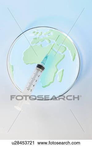 Petri dish with Africa map and syringe, conceptual image View Large Photo Image Stock Image - Petri dish with Africa map and syringe, conceptual image. Fotosearch