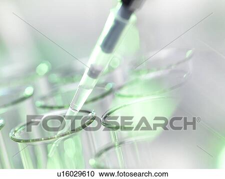 Pipetting sample View Large Photo Image Stock Image - Pipetting sample. Fotosearch