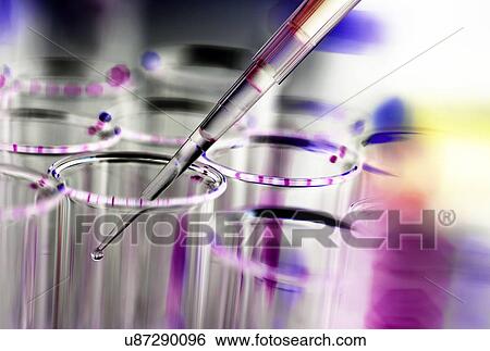 Pipetting sample View Large Photo Image Stock Photograph - Pipetting sample. Fotosearch