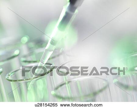 Pipetting sample View Large Photo Image Stock Photography - Pipetting sample. Fotosearch