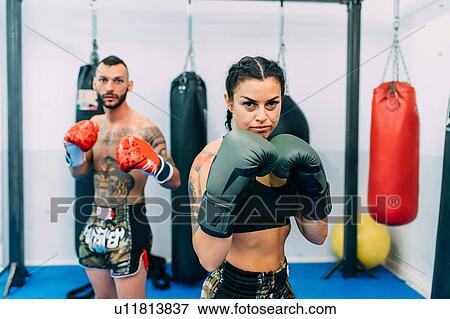 Portrait of male and female boxers View Large Photo Image Stock Photo - Portrait of male and female boxers. Fotosearch